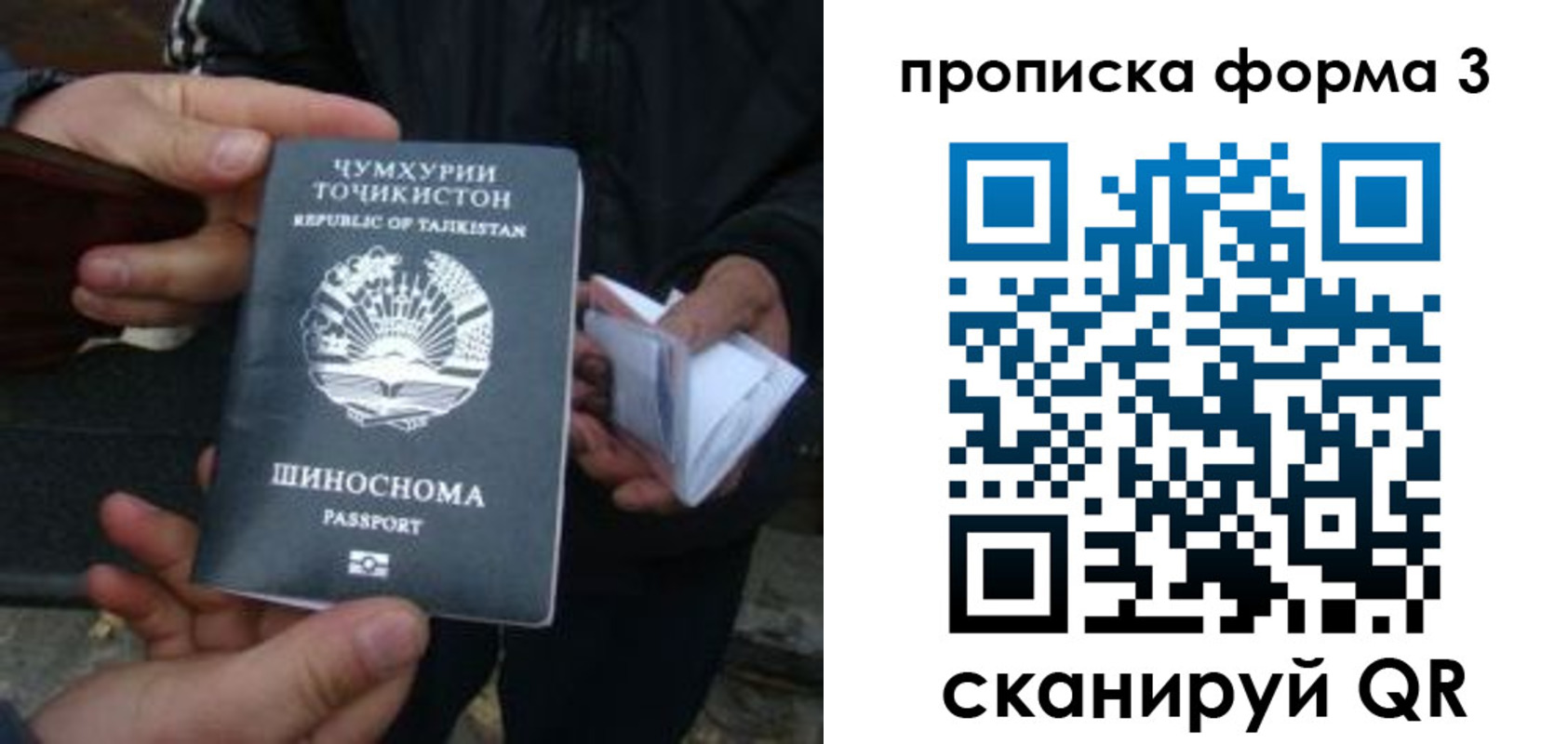 прописка 2025 в Электрогорске